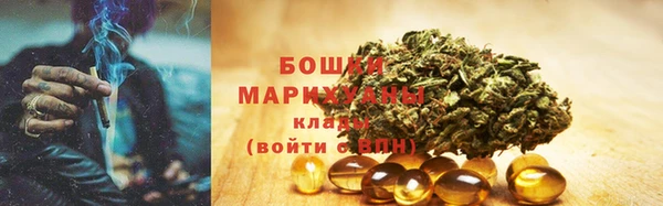 сатива Снежинск