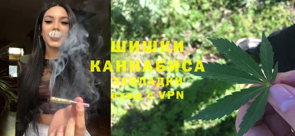 дмт Алзамай