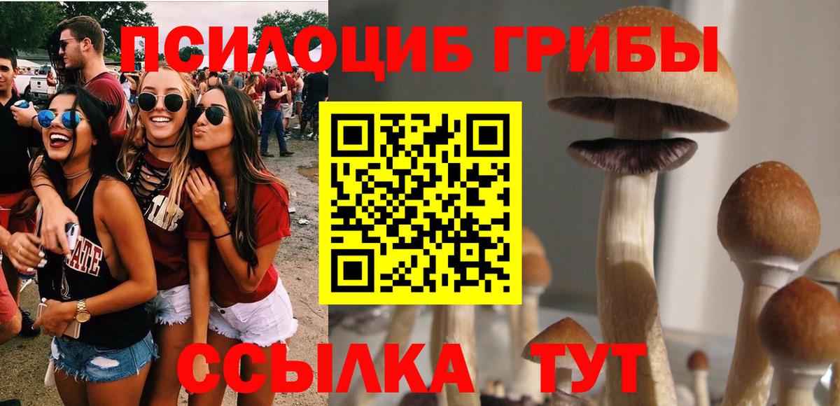 Псилоцибиновые грибы Cubensis Коряжма