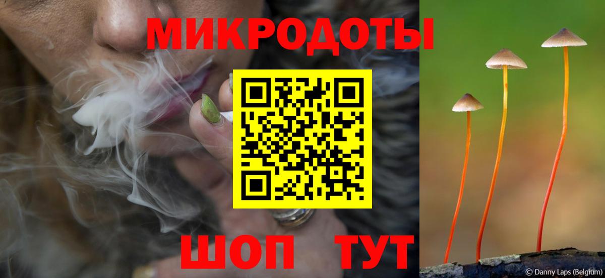 Коряжма  Галлюциногенные грибы Cubensis  Вход с VPN 