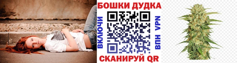 гидра как войти  даркнет сайт  нарко площадка телеграм  Шишки марихуана OG Kush  Коряжма 